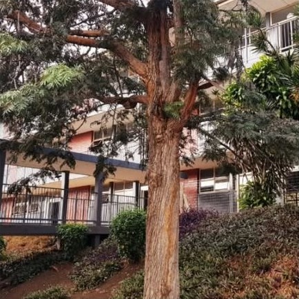 Belverton Secondary School buildings on a green, tree-lined slope